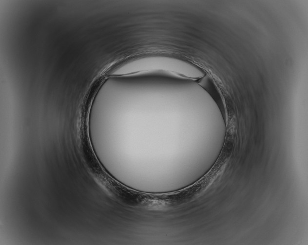 X0000086720352200705111559