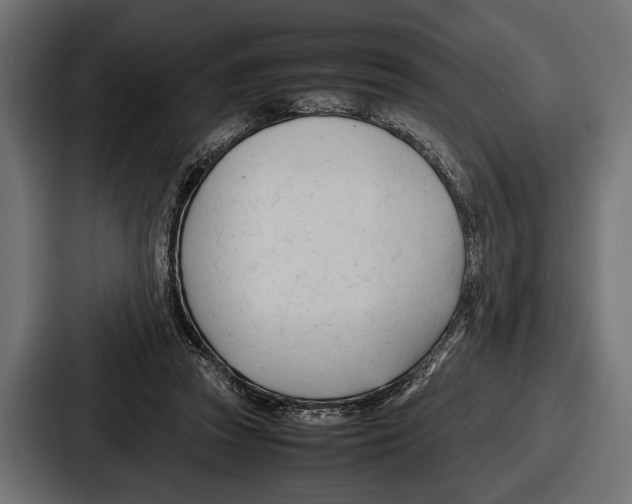 X0000086720353200705111559