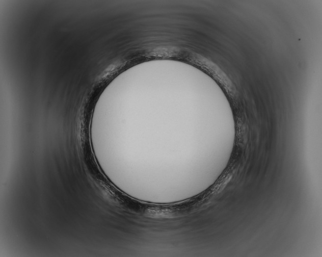 X0000086720354200705111559