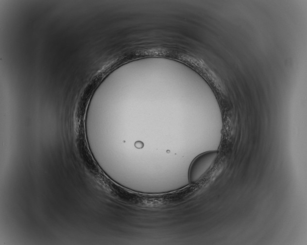 X0000086720355200705111559