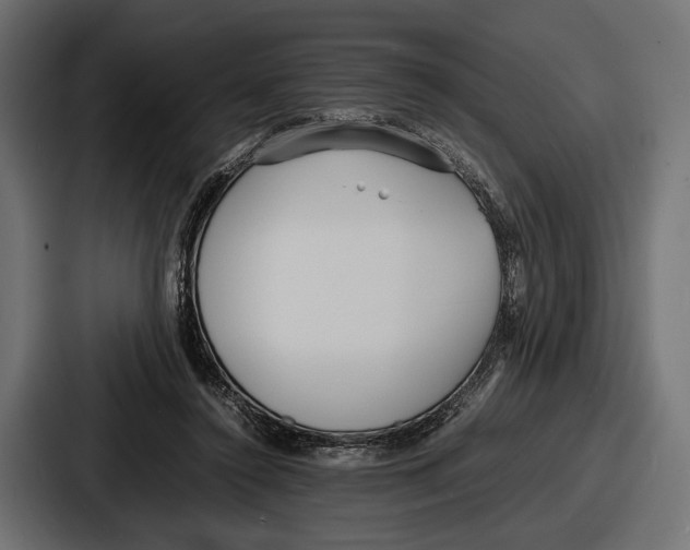 X0000086720356200705111559