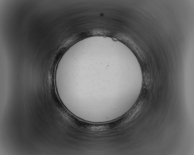 X0000086720357200705111559