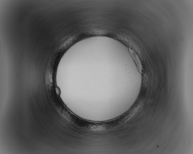 X0000086720358200705111559