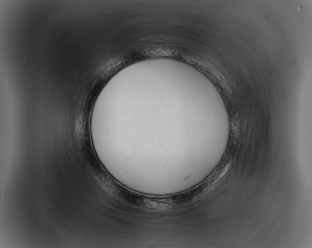 X0000086720359200705111559