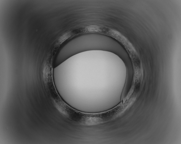 X0000086720360200705111559