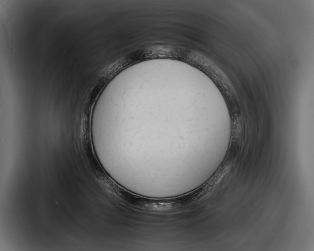 X0000086720361200705111559