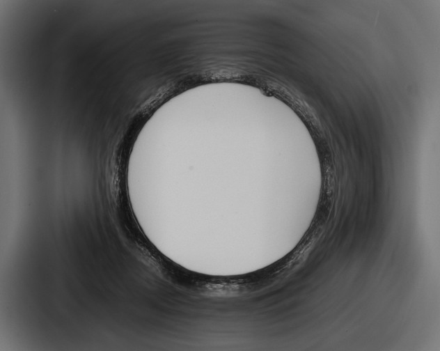 X0000086720362200705111559