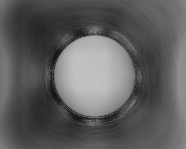 X0000086720363200705111559