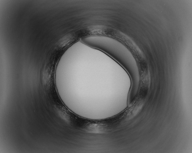 X0000086720364200705111559