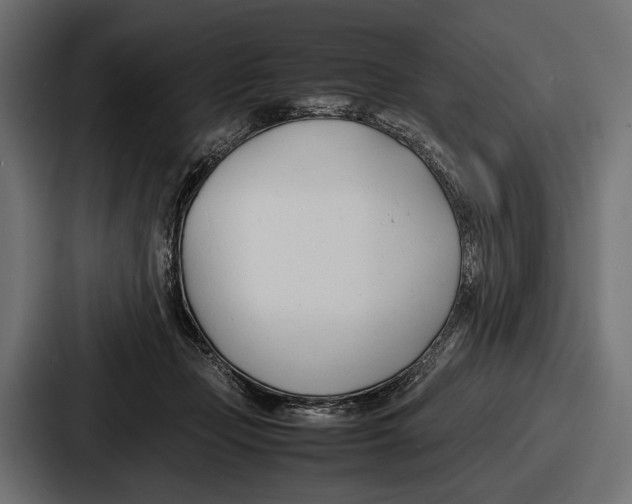 X0000086720365200705111559