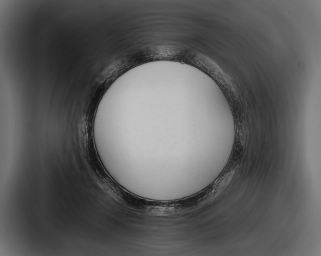 X0000086720366200705111559