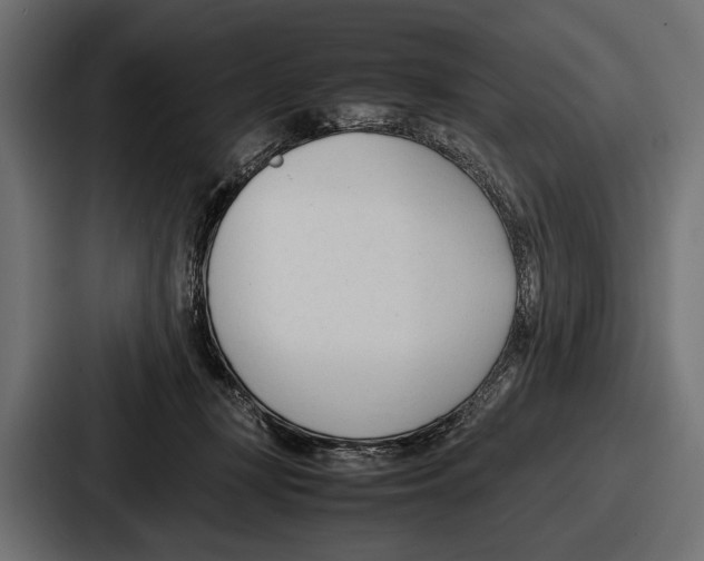 X0000086720367200705111559