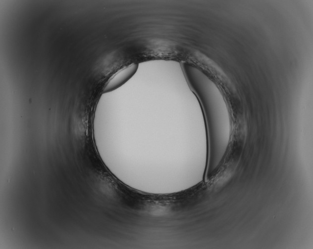 X0000086720368200705111559