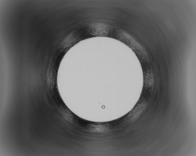 X0000086720370200705111600