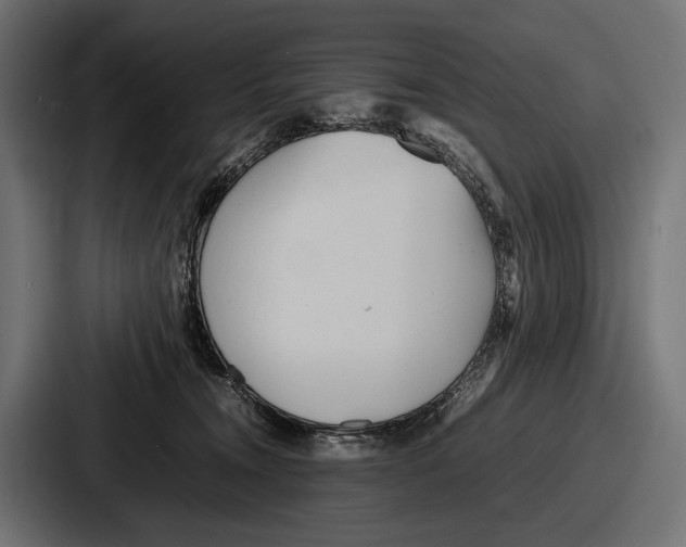 X0000086720372200705111600