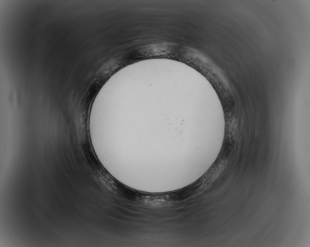 X0000086720373200705111600