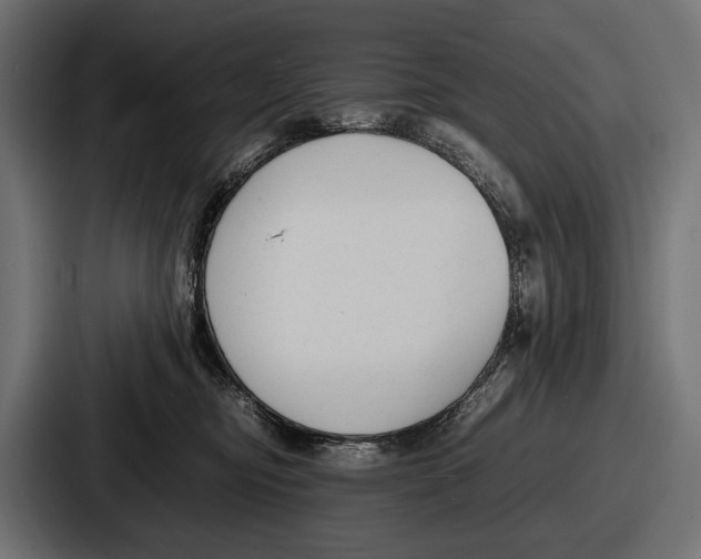 X0000086720374200705111600