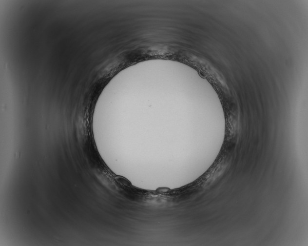 X0000086720376200705111600