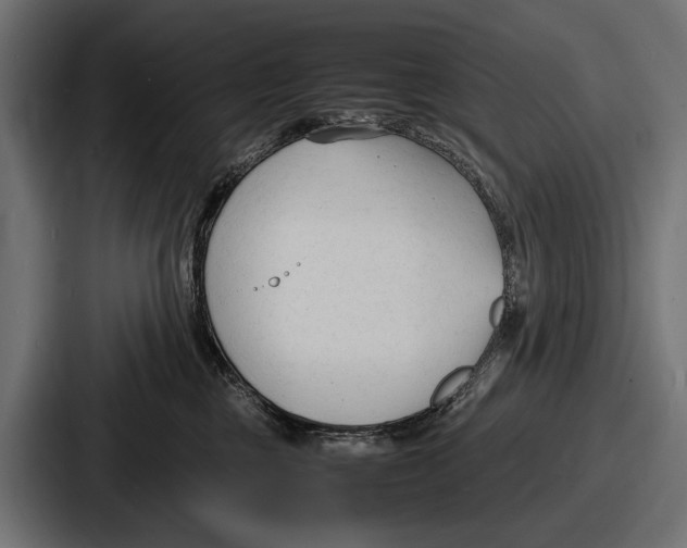 X0000086720377200705111600