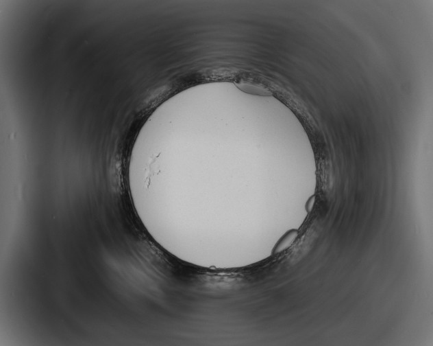 X0000086720378200705111600