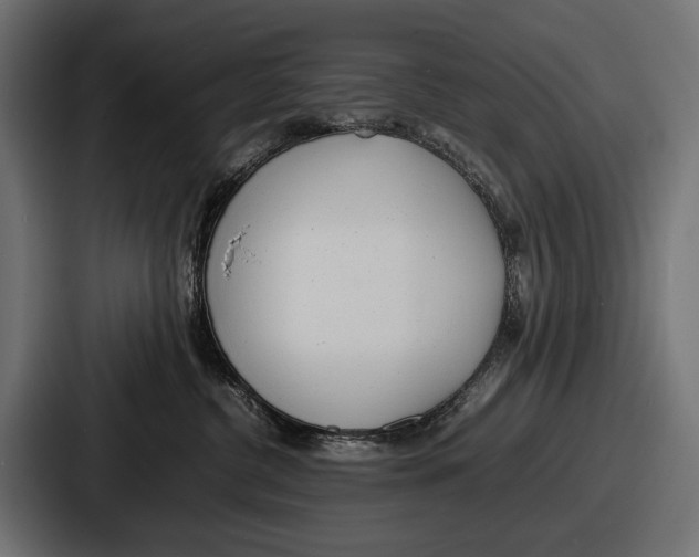 X0000086720380200705111600