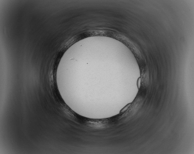 X0000086720381200705111600