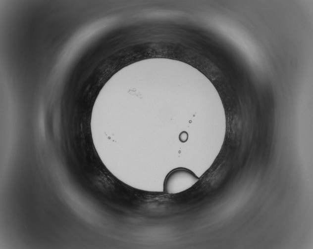 X0000086720382200705111600