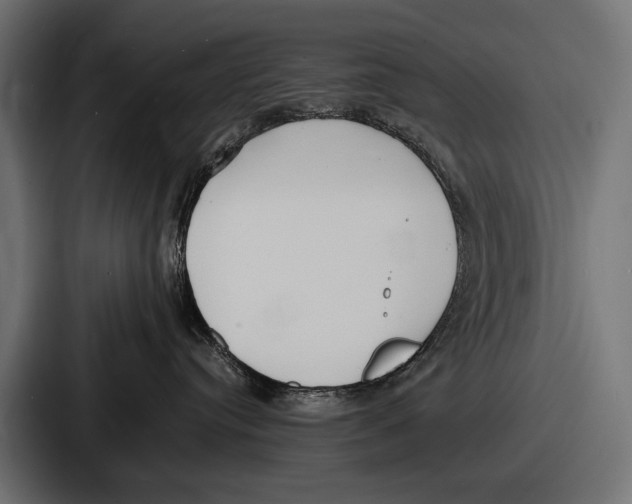 X0000086720384200705111600