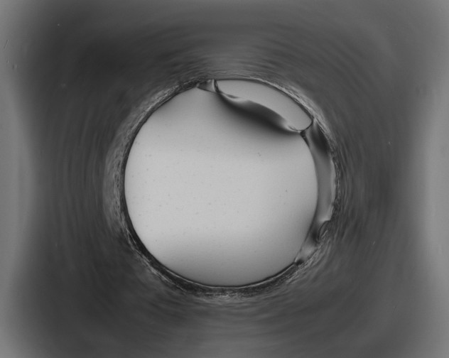 X0000086720385200705111559