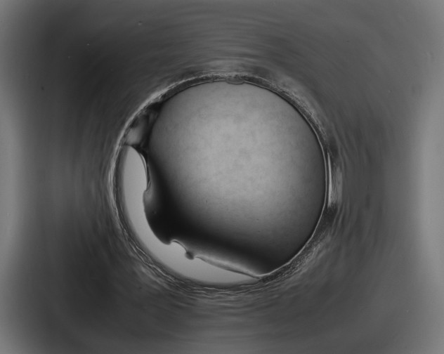 X0000086720387200705111559