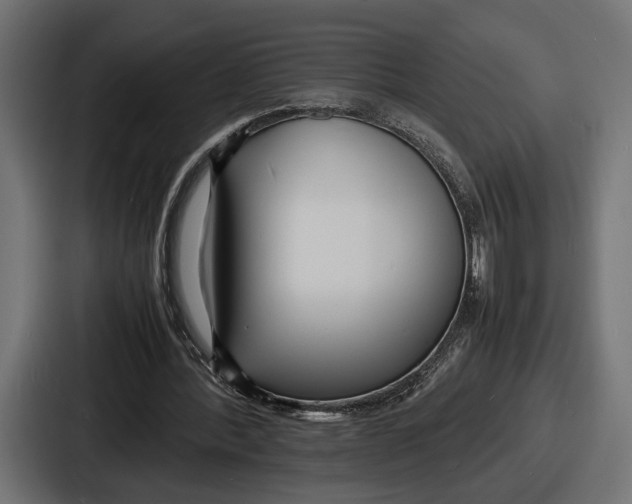 X0000086720388200705111559