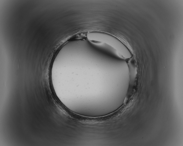 X0000086720389200705111559