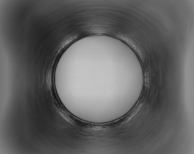 X0000086720390200705111559