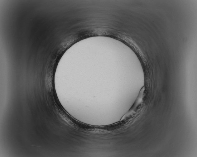 X0000086720393200705111559