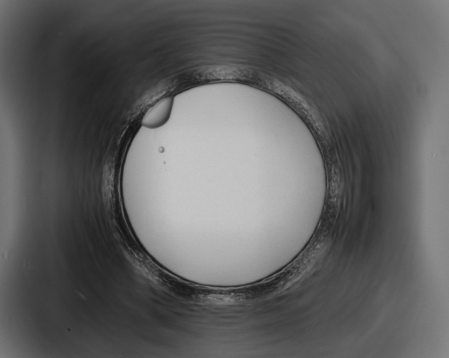 X0000086720394200705111559