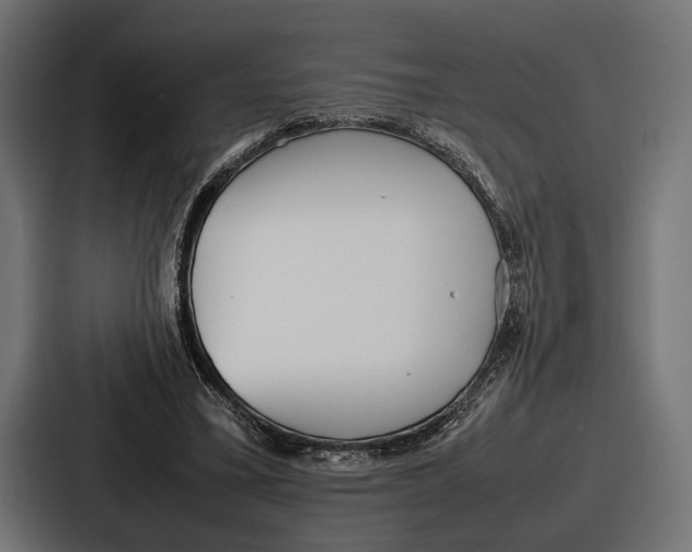 X0000086720395200705111559