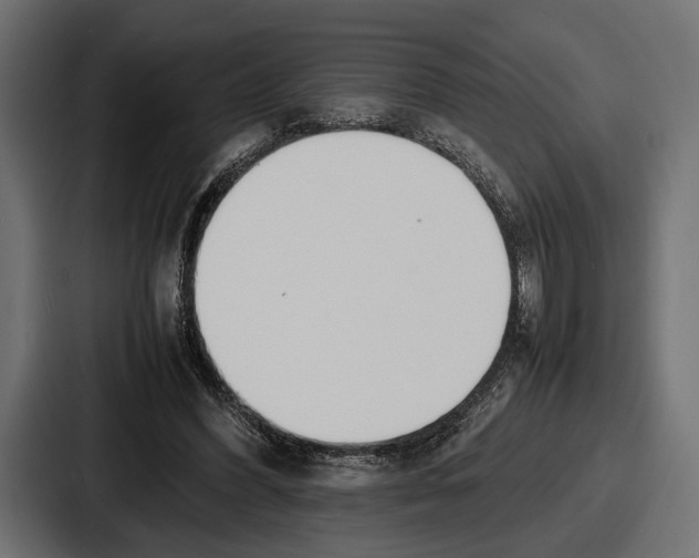 X0000086720396200705111559