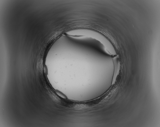 X0000086720397200705111559