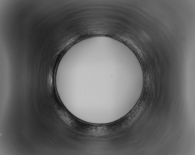 X0000086720398200705111559