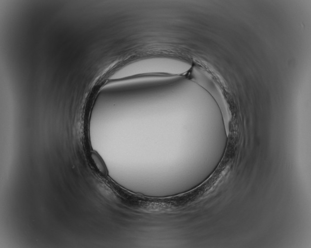 X0000086720399200705111559