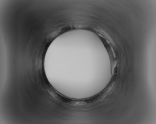 X0000086720401200705111559