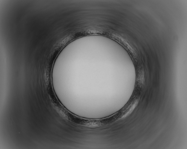 X0000086720402200705111559