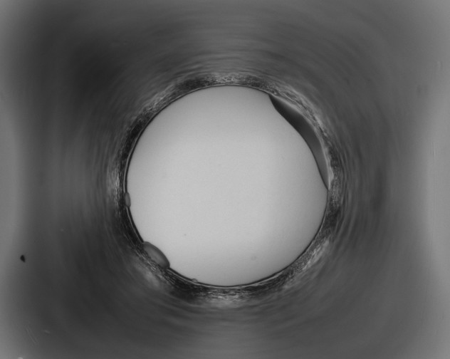 X0000086720405200705111559