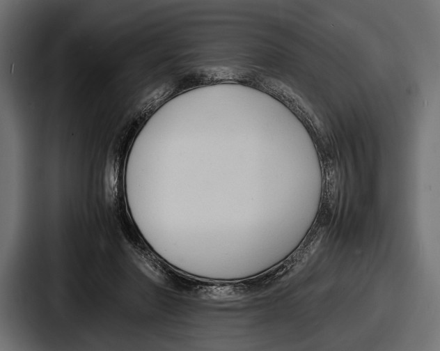 X0000086720406200705111559