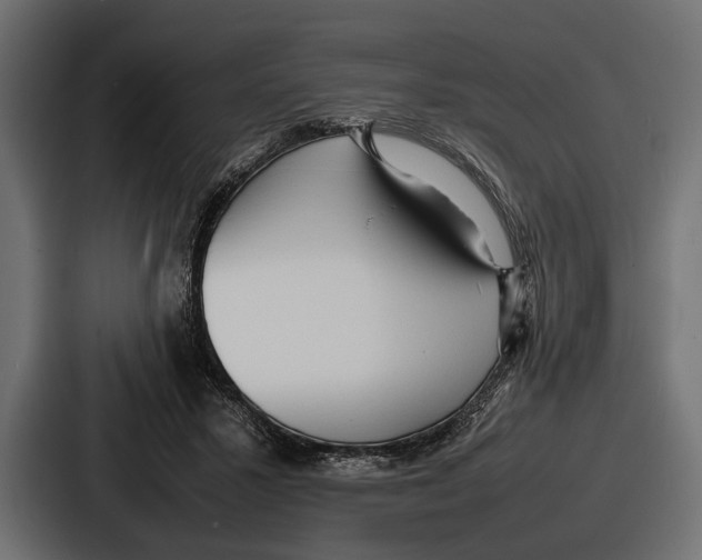 X0000086720407200705111559