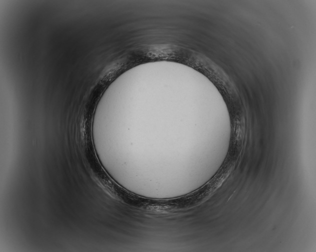 X0000086720408200705111559