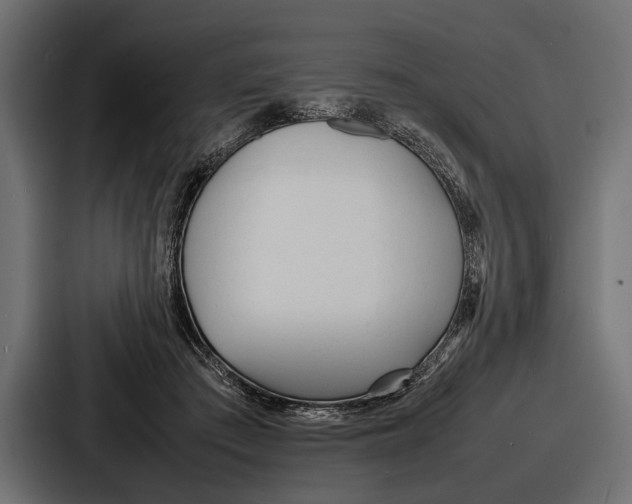 X0000086720409200705111559