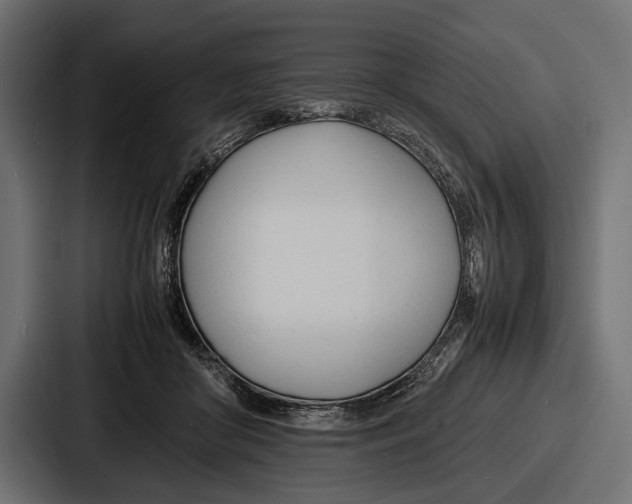 X0000086720410200705111559