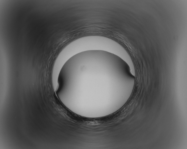 X0000086720411200705111559