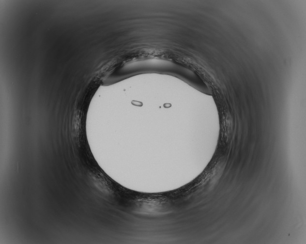 X0000086720412200705111559